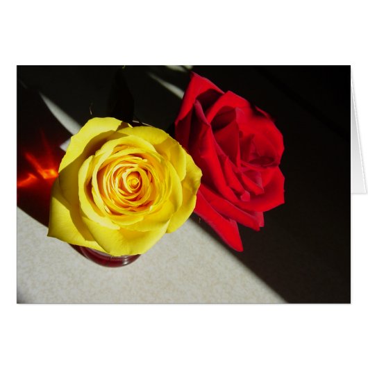 Roses Cards (Front Horizontal)