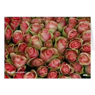 Roses Cards