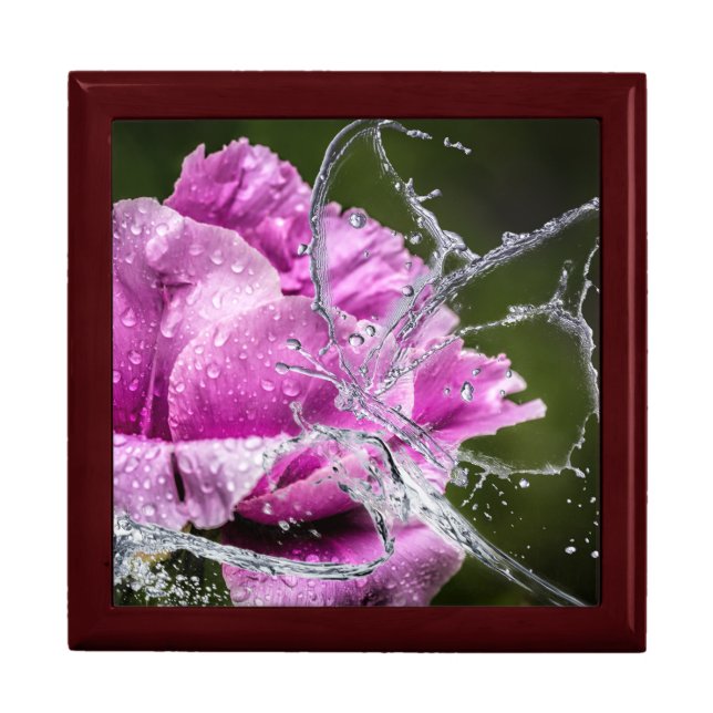 Rose's Dew Drop Butterfly Jewelry Box (Front)