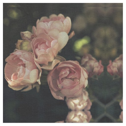 Roses Fabric