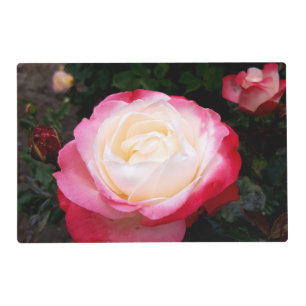 Roses Flowers Pet Mat