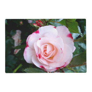 Roses Flowers Pet Mat