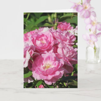 Roses Folded Greeting Card