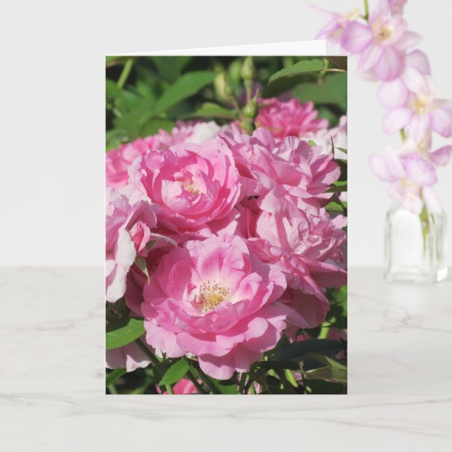 Roses Folded Greeting Card (Orchid)