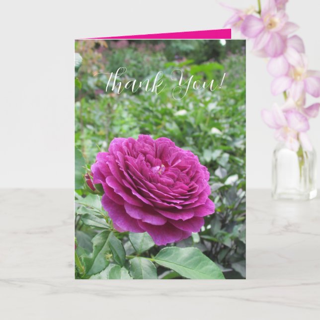 Roses Folded Greeting Card (Orchid)