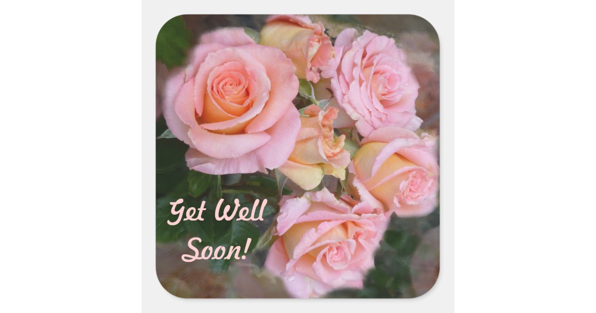 get well soon pink roses