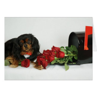 Roses for you cards
