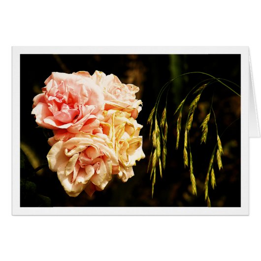 Roses for You Cards (Front Horizontal)