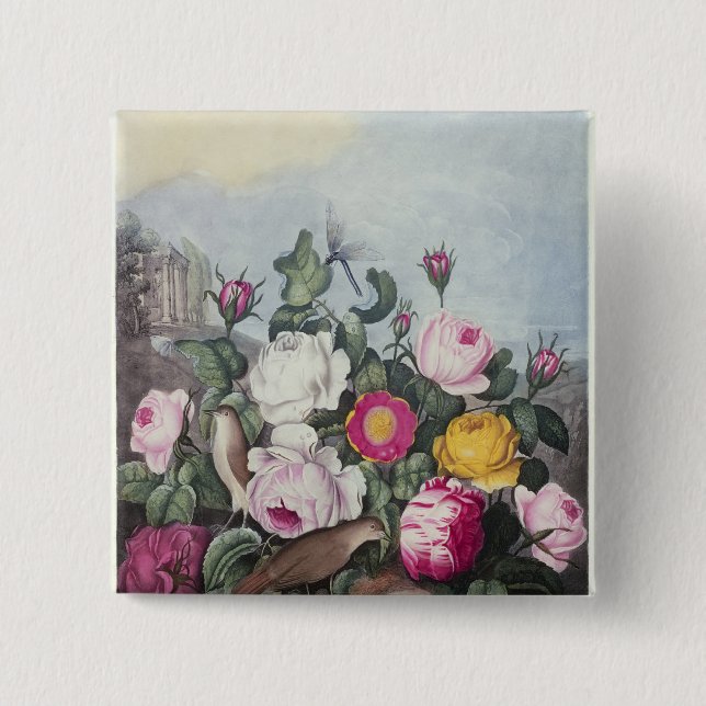 Roses, from 'The Temple of Flora' Pinback Button (Front)