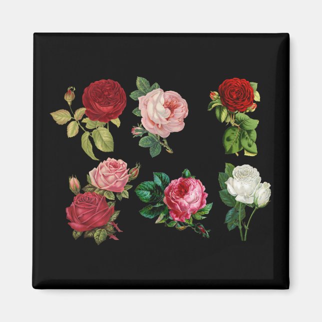 roses galore magnet (Front)