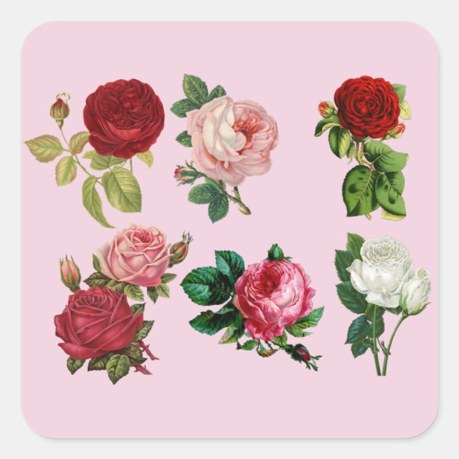 roses galore stickers (Front)