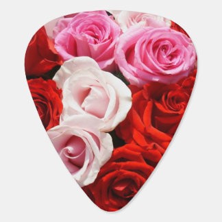 Roses Guitar Pick
