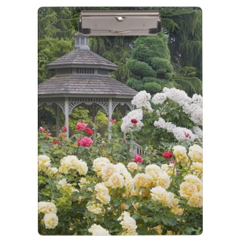 Roses in bloom and Gazebo Rose Garden at the Clipboard