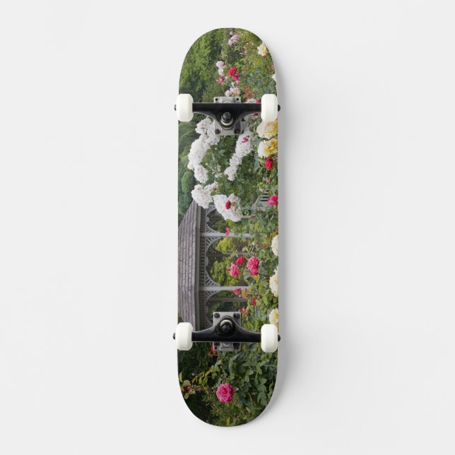 Roses in bloom and Gazebo Rose Garden at the Skateboard (Front)