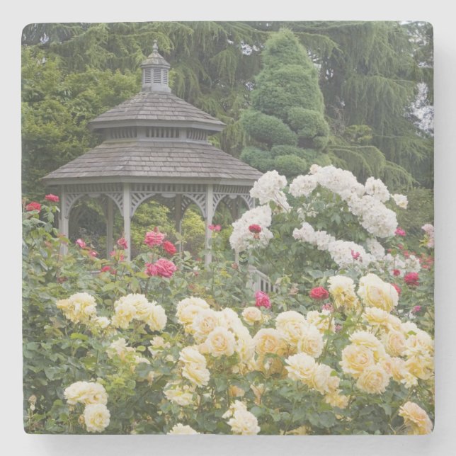 Roses in bloom and Gazebo Rose Garden at the Stone Coaster (Front)