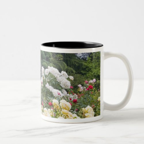 Roses in bloom and Gazebo Rose Garden at the Two_Tone Coffee Mug