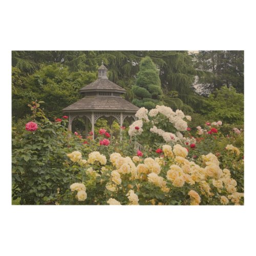 Roses in bloom and Gazebo Rose Garden at the Wood Wall Decor
