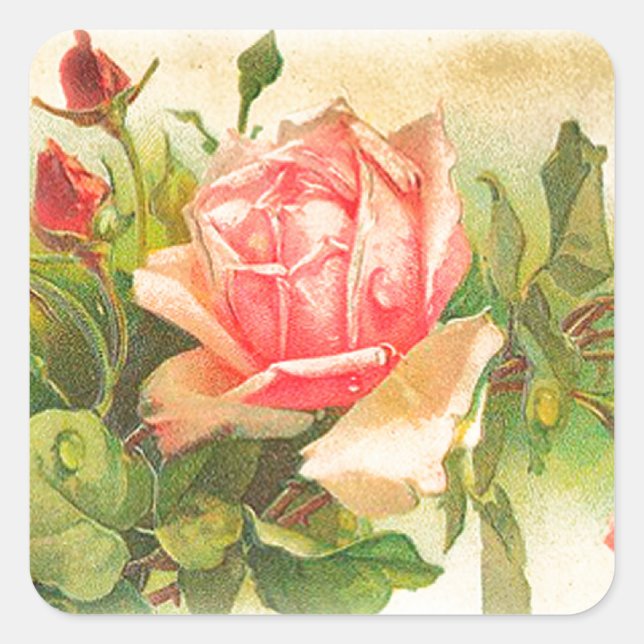 Roses in Bloom Square Sticker (Front)