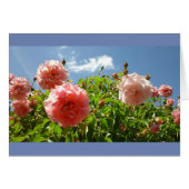 Roses in Monet's Garden (Front Horizontal)