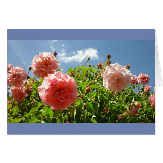 Roses in Monet's Garden Cards (Front Horizontal)