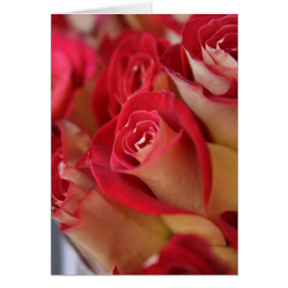 Roses in NYC Cards