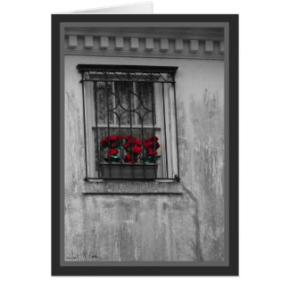 Roses in Window Cards