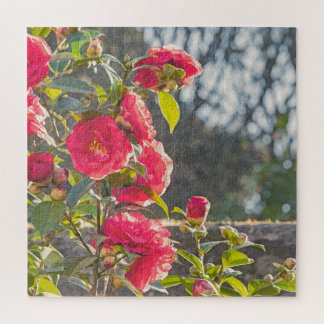 Roses jigsaw puzzle