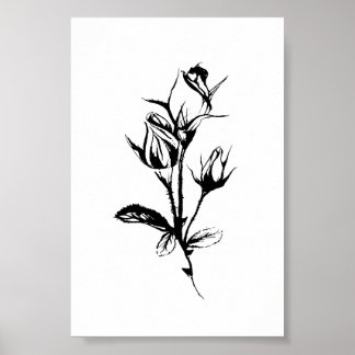 Roses Line Drawing Art | Ink Sketch of Rosebuds Poster