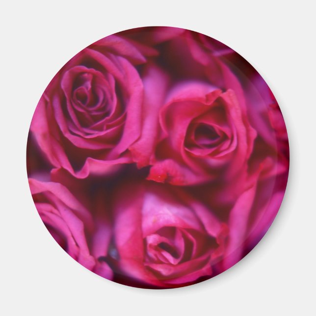 Roses Magnet (Front)