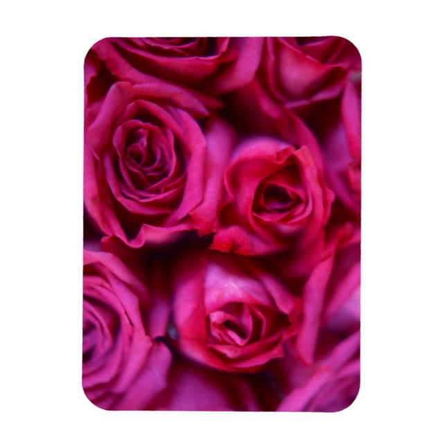 Roses Magnet (Vertical)