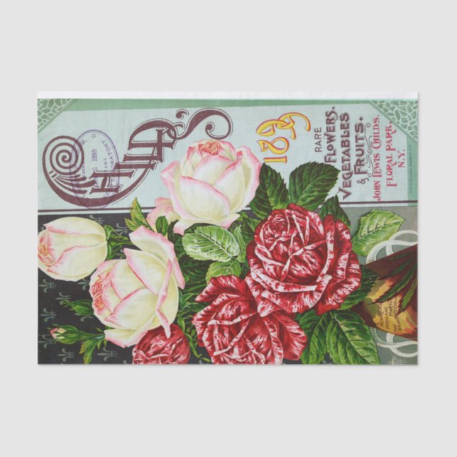 Roses of 1899 Antique Print Tissue Paper (Front)