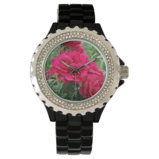 Roses of Crickhollow Watch