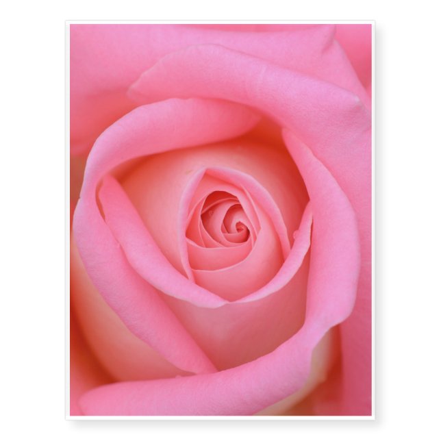 Roses of Love Temporary Tattoos (Front)