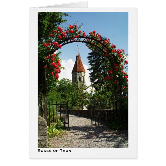 Roses of Thun Cards (Front)