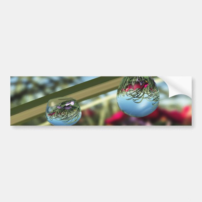 Roses on Raindrops Bumper Sticker (Front)