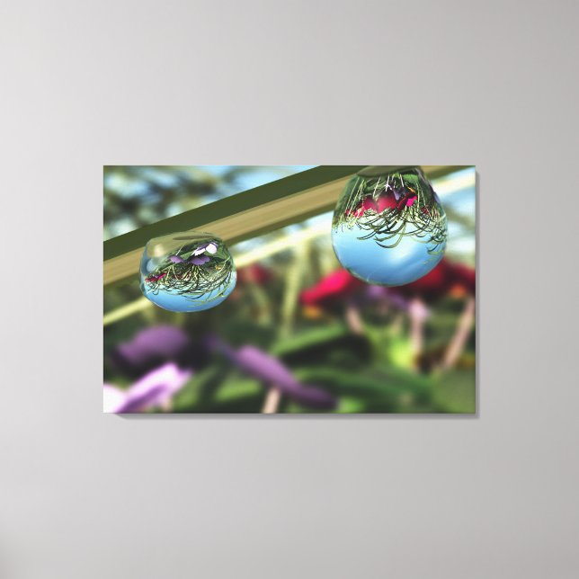Roses on Raindrops Canvas Print (Front)