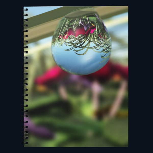 Roses on Raindrops Notebook