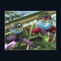 Roses on Raindrops Postcard