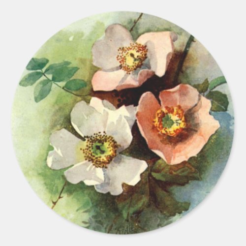 Roses on the Vine _ Sticker