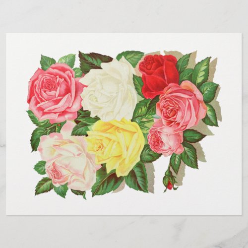Roses Pink White Yellow Red Flower Floral 1