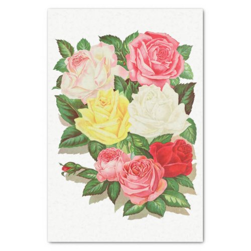 Roses Pink White Yellow Red Flower Floral 1 Tissue Paper