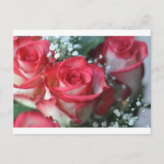 roses postcard