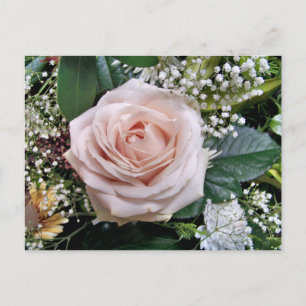 ROSES POSTCARD