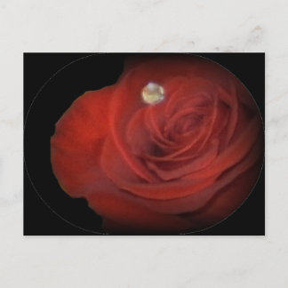 Roses Postcard