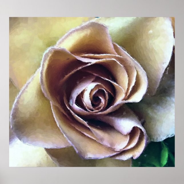 ROSES POSTER (Front)