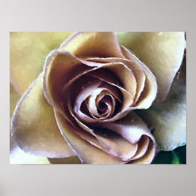ROSES POSTER (Front)