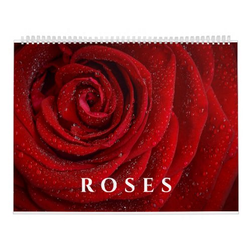 Roses Pretty Colorful Flowers Field Photographs Calendar