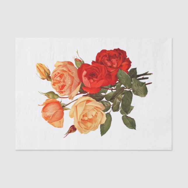 Roses Red Peach Orange Flowers Floral Tissue Paper (Front)