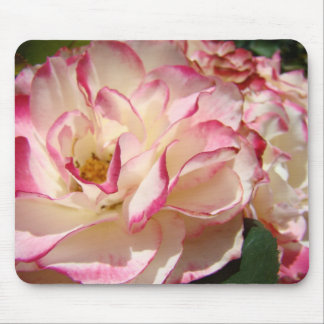 ROSES, ROSE FLOWERS MOUSE PADS MOUSEPAD