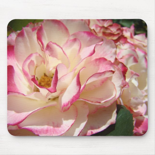ROSES, ROSE FLOWERS MOUSE PADS MOUSEPAD (Front)